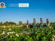 Miami: Vorreiter in Sachen Vielfalt, Zugänglichkeit und Inklusion Miami Autism (c) GMCVB