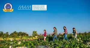 Miami: Vorreiter in Sachen Vielfalt, Zugänglichkeit und Inklusion Miami Autism (c) GMCVB