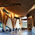 Atrium Canadian Canoe Museum (c)  Canadian Canoe Museum