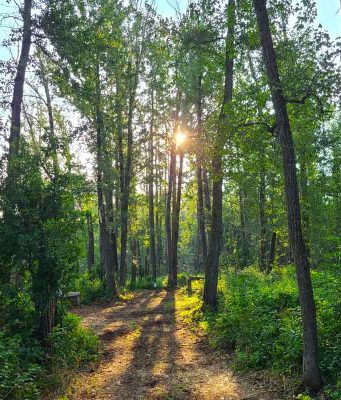 „Wald der Heilung“ nahe Edmonton eröffnet Healing Forest (c) Prairie Gardens