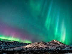 Nordlichter in Anchorage, Alaska Anchorage Aurora Quest (c) ACVB - Jody Overstreet