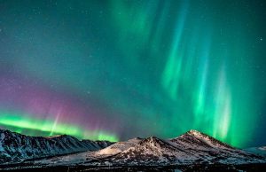 Nordlichter in Anchorage, Alaska Anchorage Aurora Quest (c) ACVB - Jody Overstreet