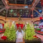 Bellagio Conservatory Botanical Gardens (c) Trevor Oshana MGM Resorts International