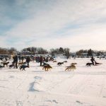 Northern Manitoba Trapper’s Festival (c) Travel Manitoba