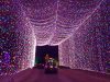 Tipps für eine Louisville Städtetour im Advent Lights Under Louisville
