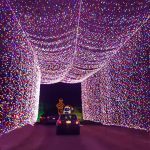 Lights Under Louisville