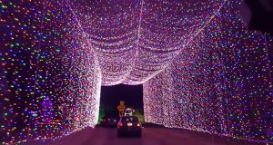 Tipps für eine Louisville Städtetour im Advent Lights Under Louisville