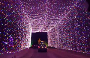 Tipps für eine Louisville Städtetour im Advent Lights Under Louisville