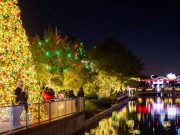 Scottsdales festliche Highlights im Dezember cottsdazzle (c) Jenna McKone/Experience Scottsdale