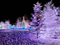 Warum die Nordlichter der Northwest Territories die Winterferien verzaubern Winter in NWT (c) NWTT