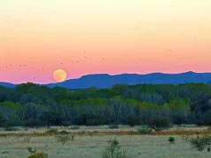 Die romantischsten Abenteuer in Arizona Sonnenuntergang mit Mond (c) Arizona Office of Tourism