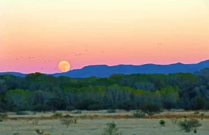 Die romantischsten Abenteuer in Arizona Sonnenuntergang mit Mond (c) Arizona Office of Tourism
