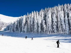 Neue Ski- und Mountainbike-Trails in Flagstaff Snowbowl Ski Resort in Flagstaff (c) An Pham