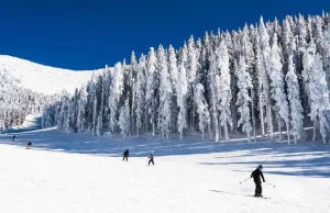 Neue Ski- und Mountainbike-Trails in Flagstaff Snowbowl Ski Resort in Flagstaff (c) An Pham