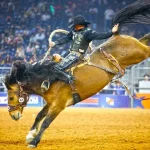 Houston Livestock Show and Rodeo (c) Houston Livestock Show and Rodeo