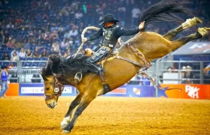 Rodeo Houston 2025 Houston Livestock Show and Rodeo (c) Houston Livestock Show and Rodeo