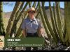 Ranger Talks: Insiderwissen zu Arizonas National Parks