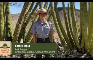 Ranger Talks: Insiderwissen zu Arizonas National Parks