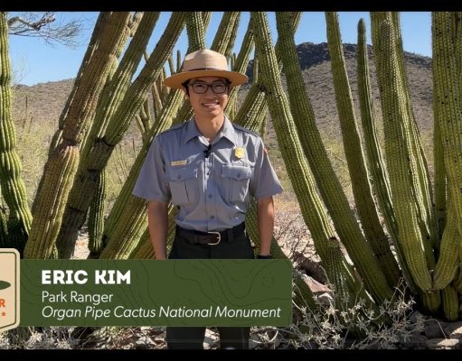 Ranger Talks: Insiderwissen zu Arizonas National Parks