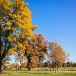 Wash Park Fall (c) Rebecca Ann Photography / Visit Denver