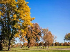 Herbstliche Ausflüge in und rund um Denver Wash Park Fall (c) Rebecca Ann Photography / Visit Denver