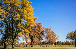 Herbstliche Ausflüge in und rund um Denver Wash Park Fall (c) Rebecca Ann Photography / Visit Denver