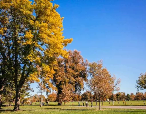 Herbstliche Ausflüge in und rund um Denver Wash Park Fall (c) Rebecca Ann Photography / Visit Denver