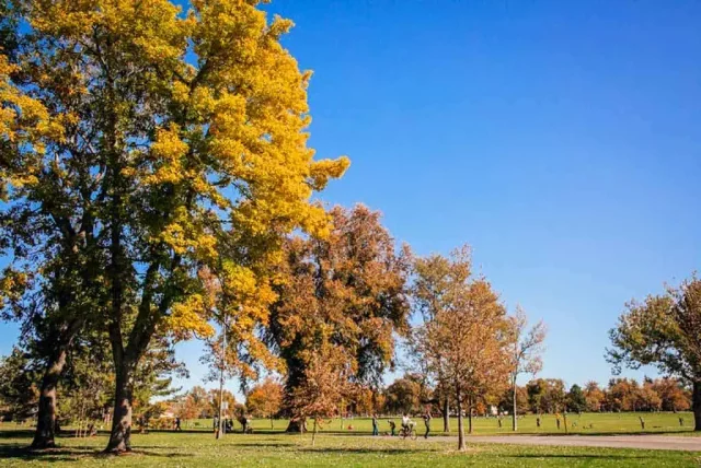 Wash Park Fall (c) Rebecca Ann Photography / Visit Denver