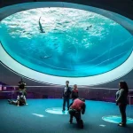Phillip and Patricia Frost Museum of Science (c) GMCVB