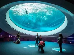 Barrierefreies Reisen in Miami Phillip and Patricia Frost Museum of Science (c) GMCVB