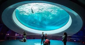 Barrierefreies Reisen in Miami Phillip and Patricia Frost Museum of Science (c) GMCVB