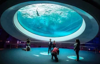 Barrierefreies Reisen in Miami Phillip and Patricia Frost Museum of Science (c) GMCVB