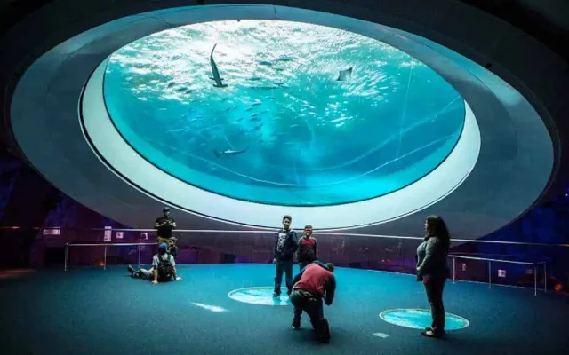 Phillip and Patricia Frost Museum of Science (c) GMCVB