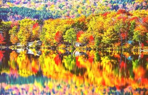 Indian Summer in den USA