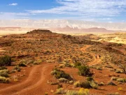 Tipps für Besucher des Grand Canyon Nationalparks Grand Canyon National Park (c) Grand Canyon Chamber of Commerce