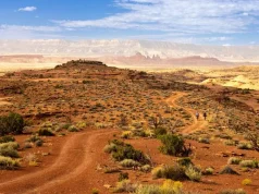 Tipps für Besucher des Grand Canyon Nationalparks Grand Canyon National Park (c) Grand Canyon Chamber of Commerce