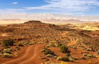 Tipps für Besucher des Grand Canyon Nationalparks Grand Canyon National Park (c) Grand Canyon Chamber of Commerce